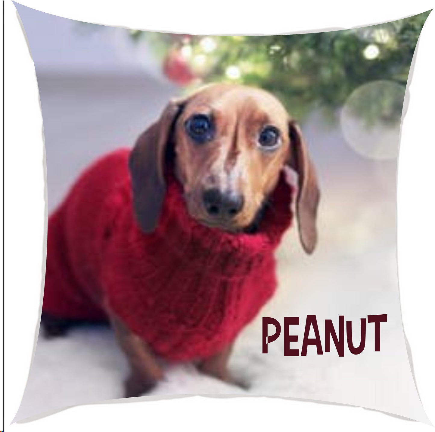Photo Pillow