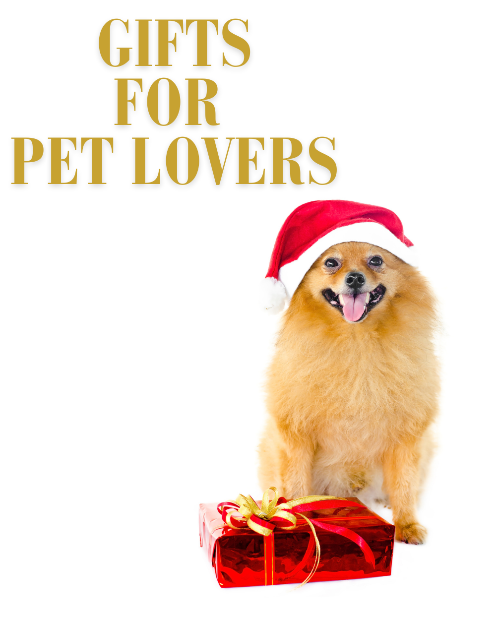 Gifts for Pet Lovers