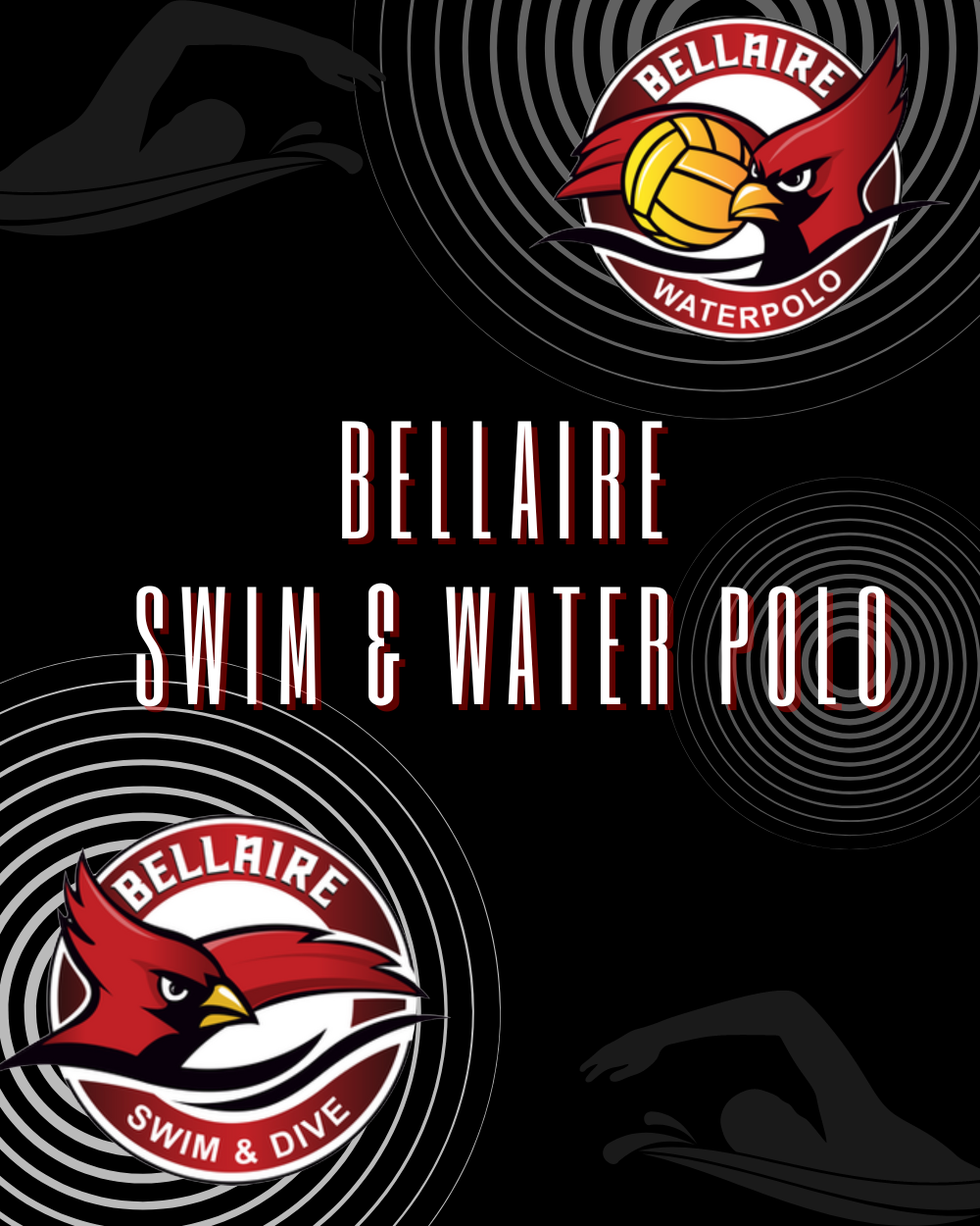 Bellaire Swim- Dive- Water Polo