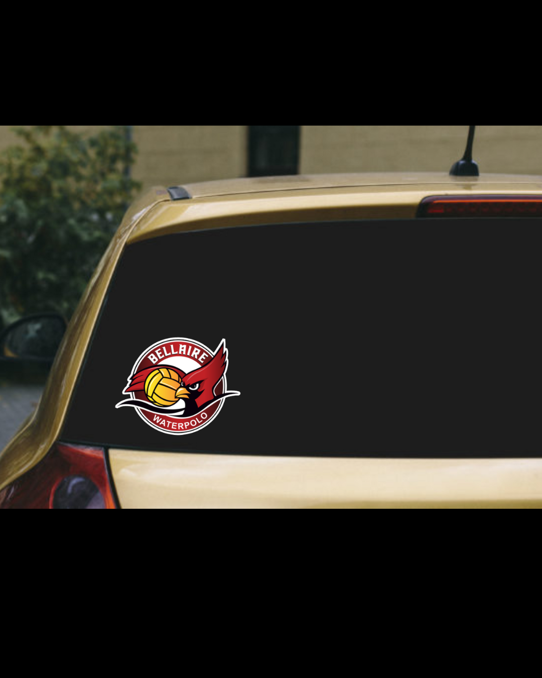 Bellaire HS- Water Polo Decal