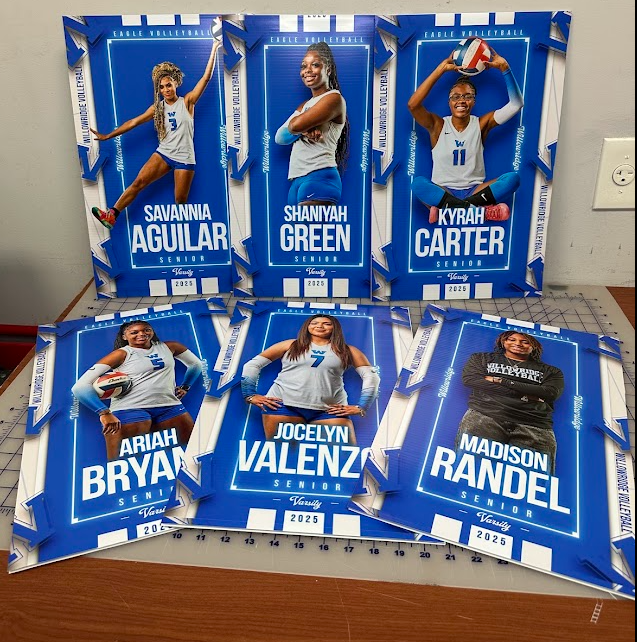 Graduation- Senior Sign- Sports Themed