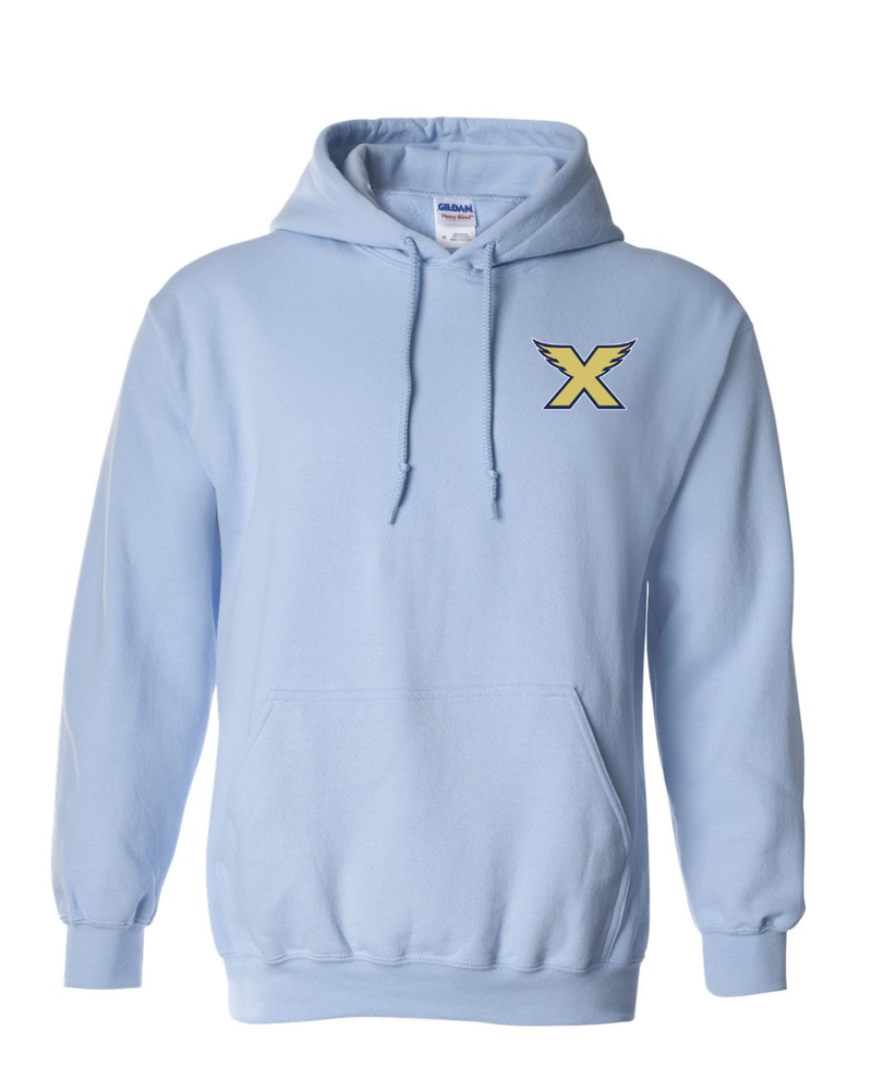 Embroidered Logo Dryblend Hoodie — Baby Blue